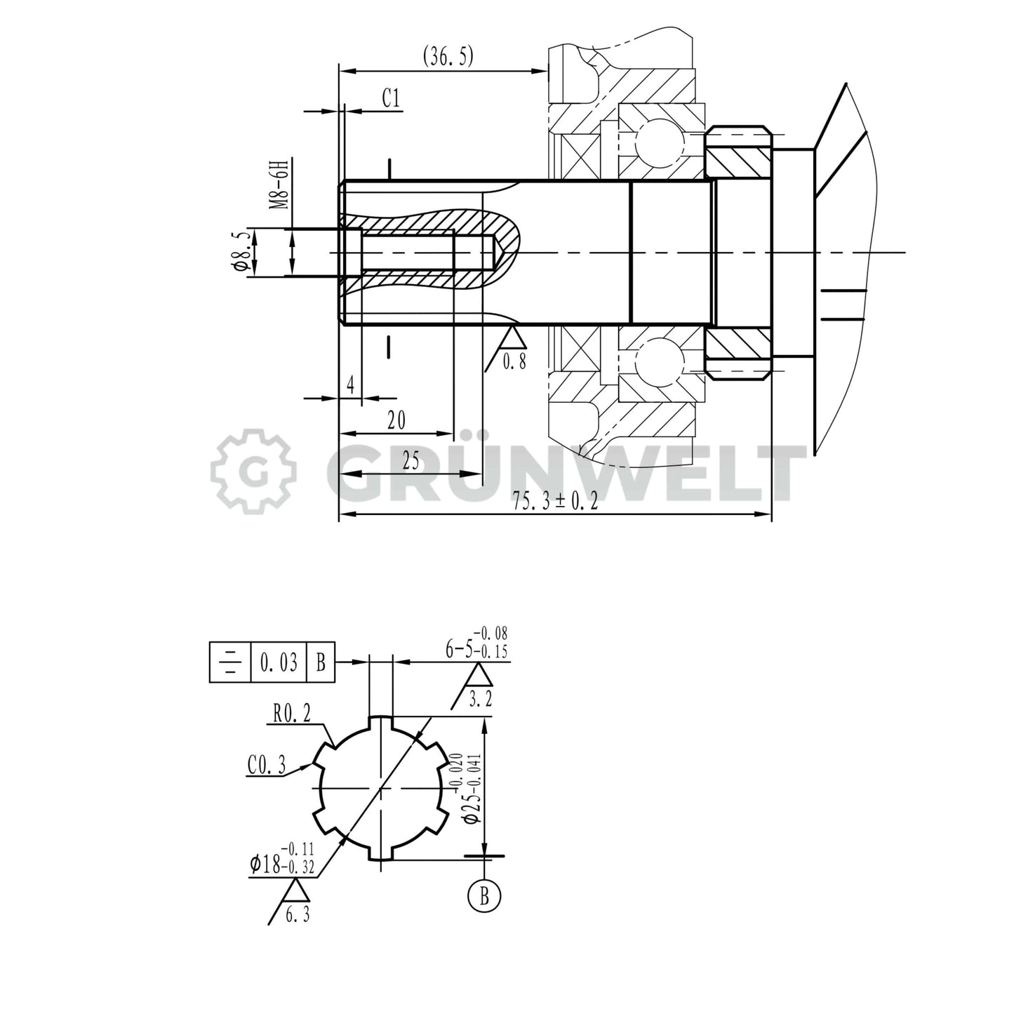 Benzinmotor Grünwelt GW170-T mit Keilwelle (25 mm)