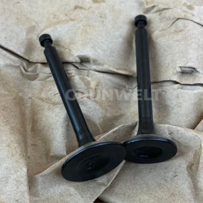 Ventilsatz für Außenbordmotor Grünwelt GW-170FC