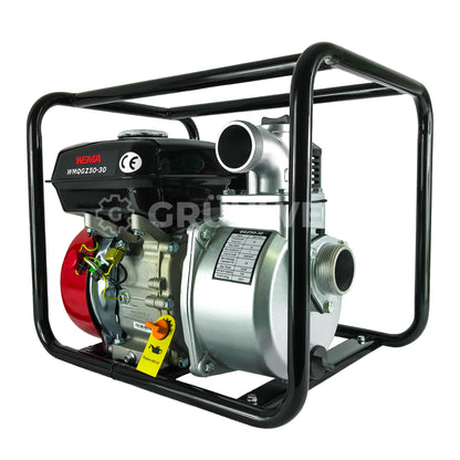 Wasserpumpe Weima WMQGZ50-30